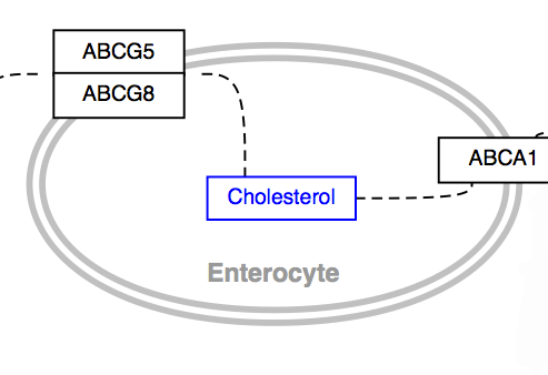 Image:Label-celltype.png