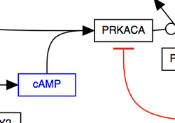 link=http://www.wikipathways.org/index.php/Pathway:WP1602