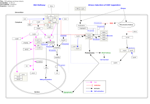 FAS pathway and stress induction of HSP regulation