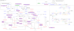 Purine metabolism and related disorders