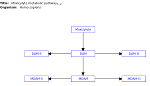 Moxicylyte metabolic pathway