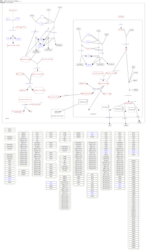 Cellular response to hypoxia