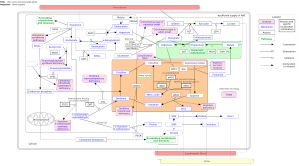 Urea cycle and associated pathways