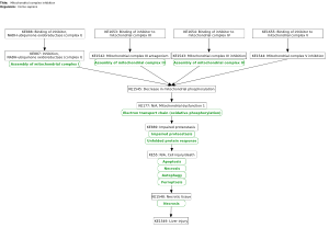 Mitochondrial complex inhibition leading to liver injury