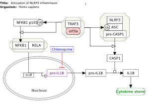 Activation of NLRP3 inflammasome by SARS-CoV-2