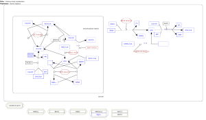 Ketone body metabolism