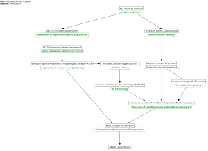 ACE2 inhibition leads to pulmonary fibrosis