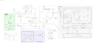 Complement system in neuronal development and plasticity