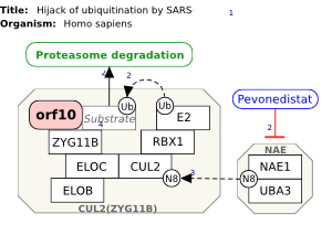 Hijack of ubiquitination by SARS-CoV-2