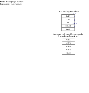 Macrophage markers