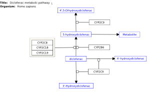 Diclofenac metabolic pathway