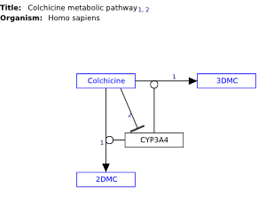 Colchicine metabolic pathway