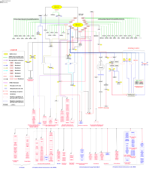 Network map of SARS-CoV-2 signaling