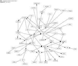 Apoptosis-related network due to altered Notch3 in ovarian cancer