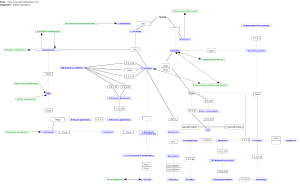 Urea cycle and metabolism of amino groups