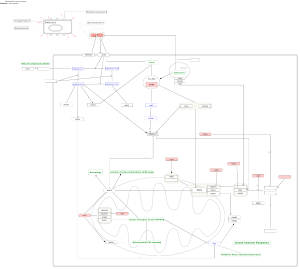 Mitochondrial immune response to SARS-CoV-2