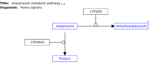 Aripiprazole metabolic pathway