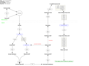 Fatty acid biosynthesis