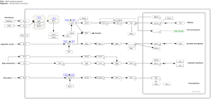 MAPK signaling pathway