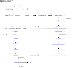 Brassinolide biosynthetic pathway