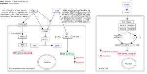 Resolvin E1 and resolvin D1 signaling decrease inflammation