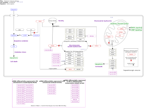 Parkinson's disease pathway