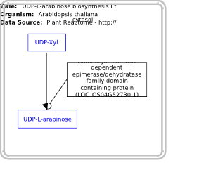UDP-L-arabinose biosynthesis I from UDP-xylose