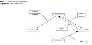 Sulindac metabolic pathway