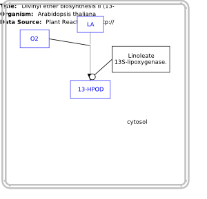 Divinyl ether biosynthesis II (13-LOX)