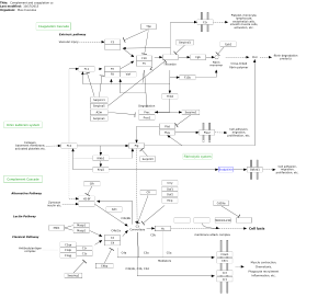 Complement and coagulation cascades