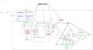 SARS-CoV-2 mitochondrial chronic oxidative stress and endothelial dysfunction