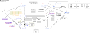 Phosphoinositides metabolism