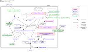 Disorders in ketone body synthesis