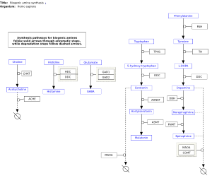 Biogenic amine synthesis