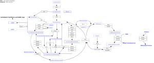 One-carbon metabolism