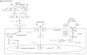 Toll, IMD, JAK/STAT pathways for immune response to pathogens