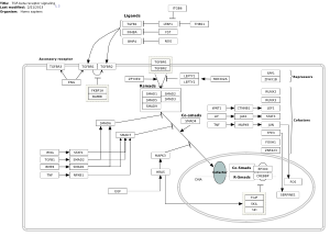 TGF-beta receptor signaling