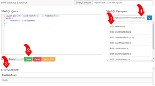 NEW Snorql Interface for SPARQL Endpoint