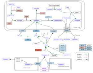 WikiPathways Tumblr