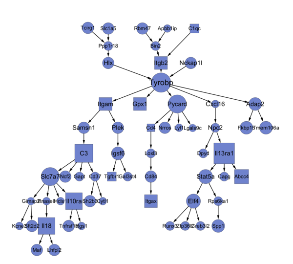 WikiPathways styled in Cytoscape