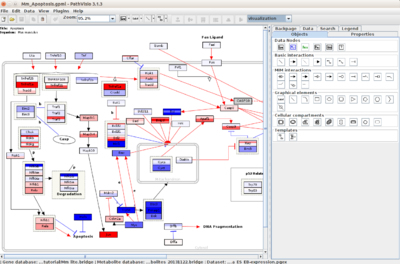 PathVisio visualization