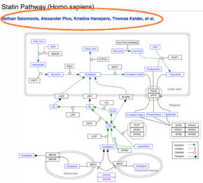 WikiPathways Authorship