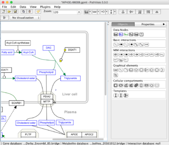 WikiPathways editing